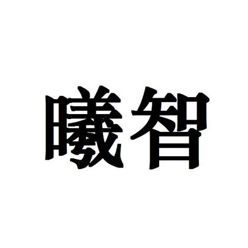 谢春梅与公司 以信息技术咨询为核心，引领创新服务未来
